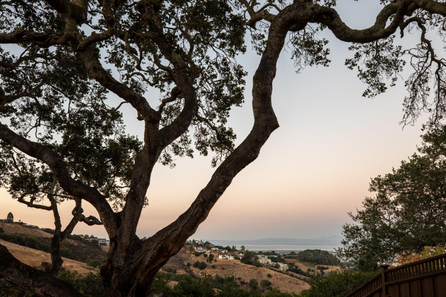 Detail Gallery Image 55 of 59 For 128 Mesa Verde Way, San Carlos,  CA 94070 - 4 Beds | 2/1 Baths