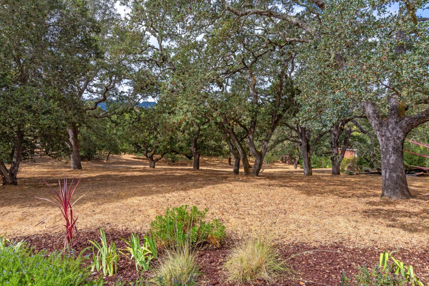 Detail Gallery Image 44 of 52 For 220 Golden Hills Dr, Portola Valley,  CA 94028 - 4 Beds | 4/2 Baths