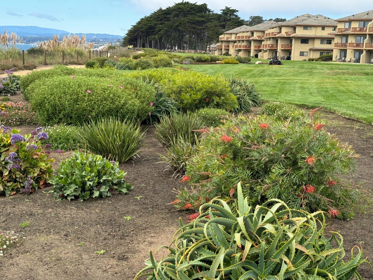 Detail Gallery Image 33 of 42 For 522 Seascape Resort Dr, Aptos,  CA 95003 - 2 Beds | 2/1 Baths