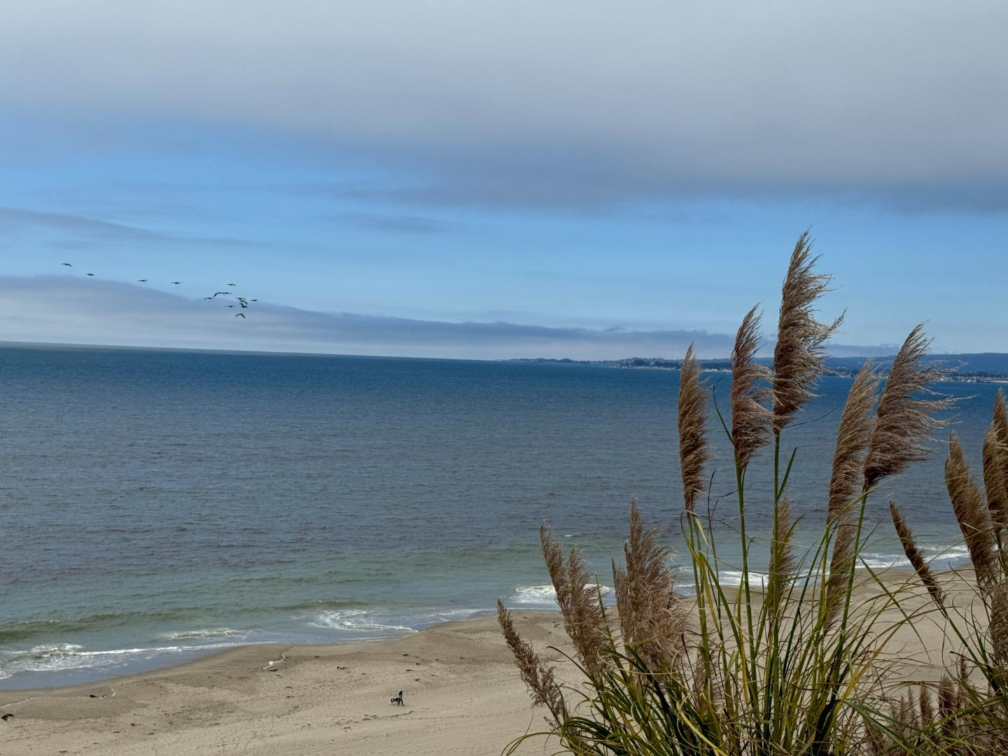 Detail Gallery Image 39 of 42 For 522 Seascape Resort Dr, Aptos,  CA 95003 - 2 Beds | 2/1 Baths