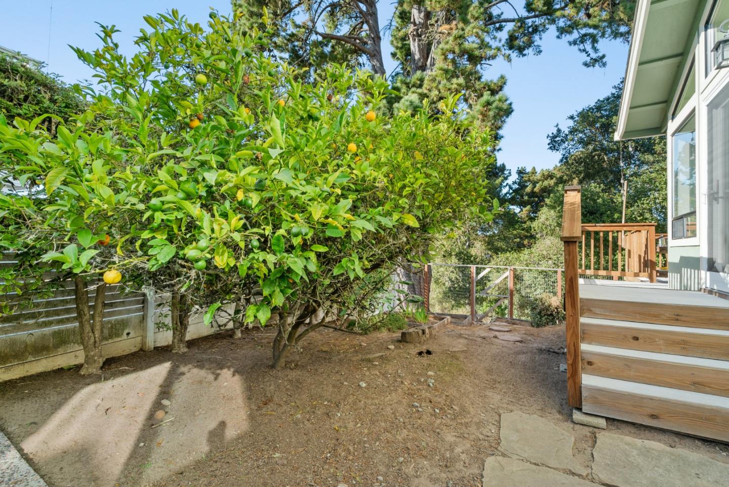 Detail Gallery Image 43 of 54 For 1729 Calypso Dr, Aptos,  CA 95003 - 4 Beds | 2/1 Baths