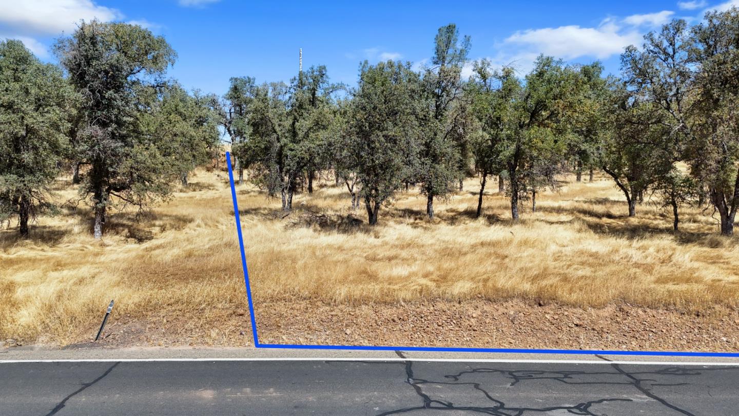 21120 Ferretti Road, Groveland, California 95321, ,Land,For Sale,21120 Ferretti Road,ML81981554