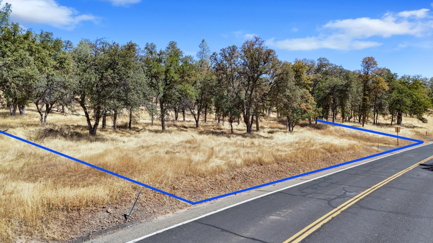 21120 Ferretti Road, Groveland, California 95321, ,Land,For Sale,21120 Ferretti Road,ML81981554
