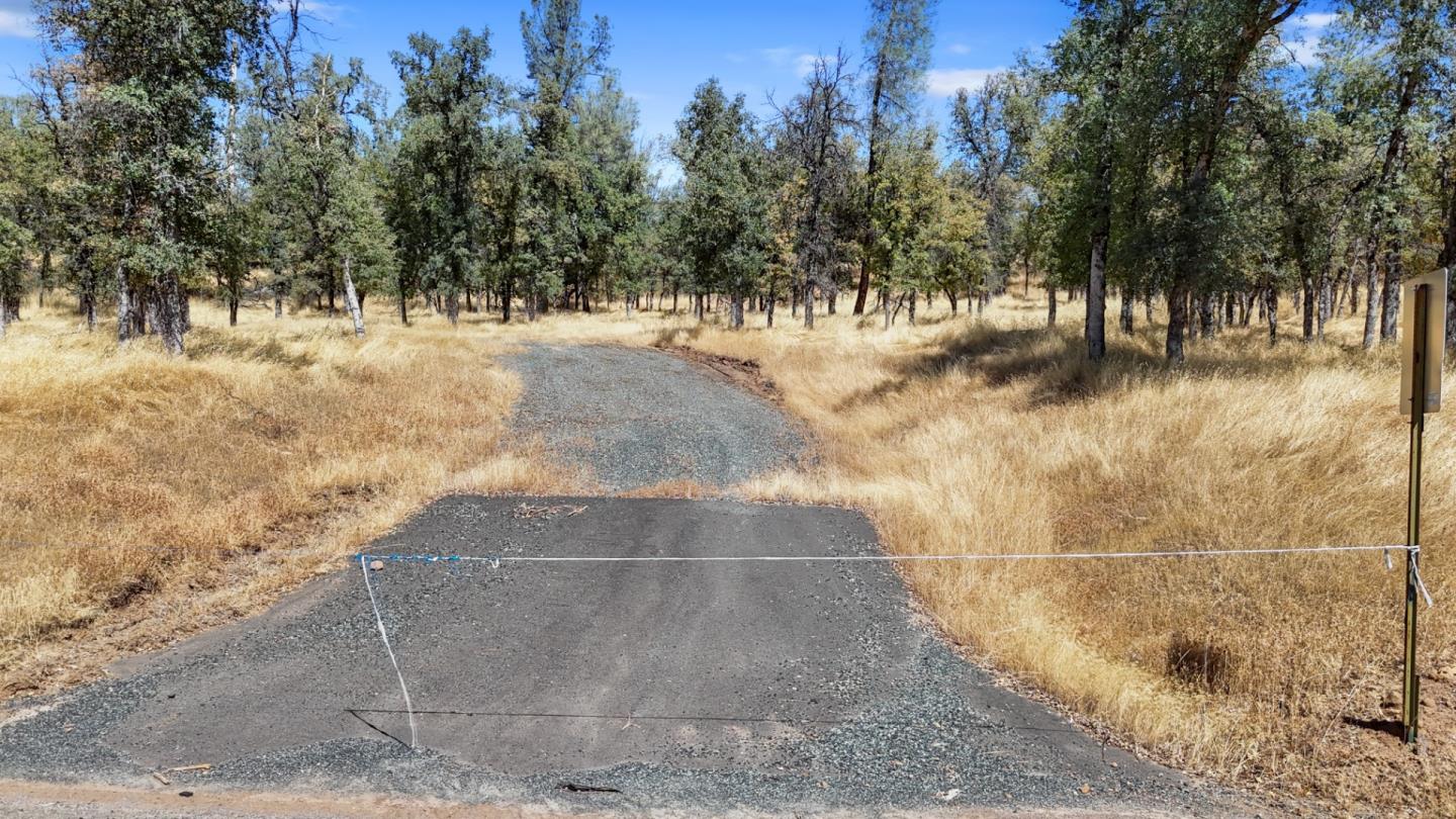 21120 Ferretti Road, Groveland, California 95321, ,Land,For Sale,21120 Ferretti Road,ML81981554