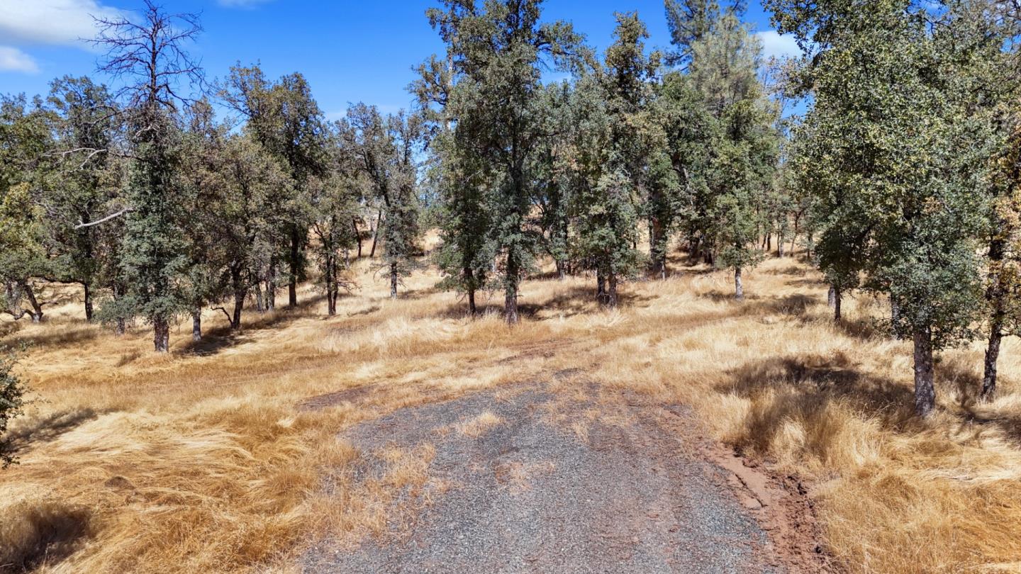 21120 Ferretti Road, Groveland, California 95321, ,Land,For Sale,21120 Ferretti Road,ML81981554