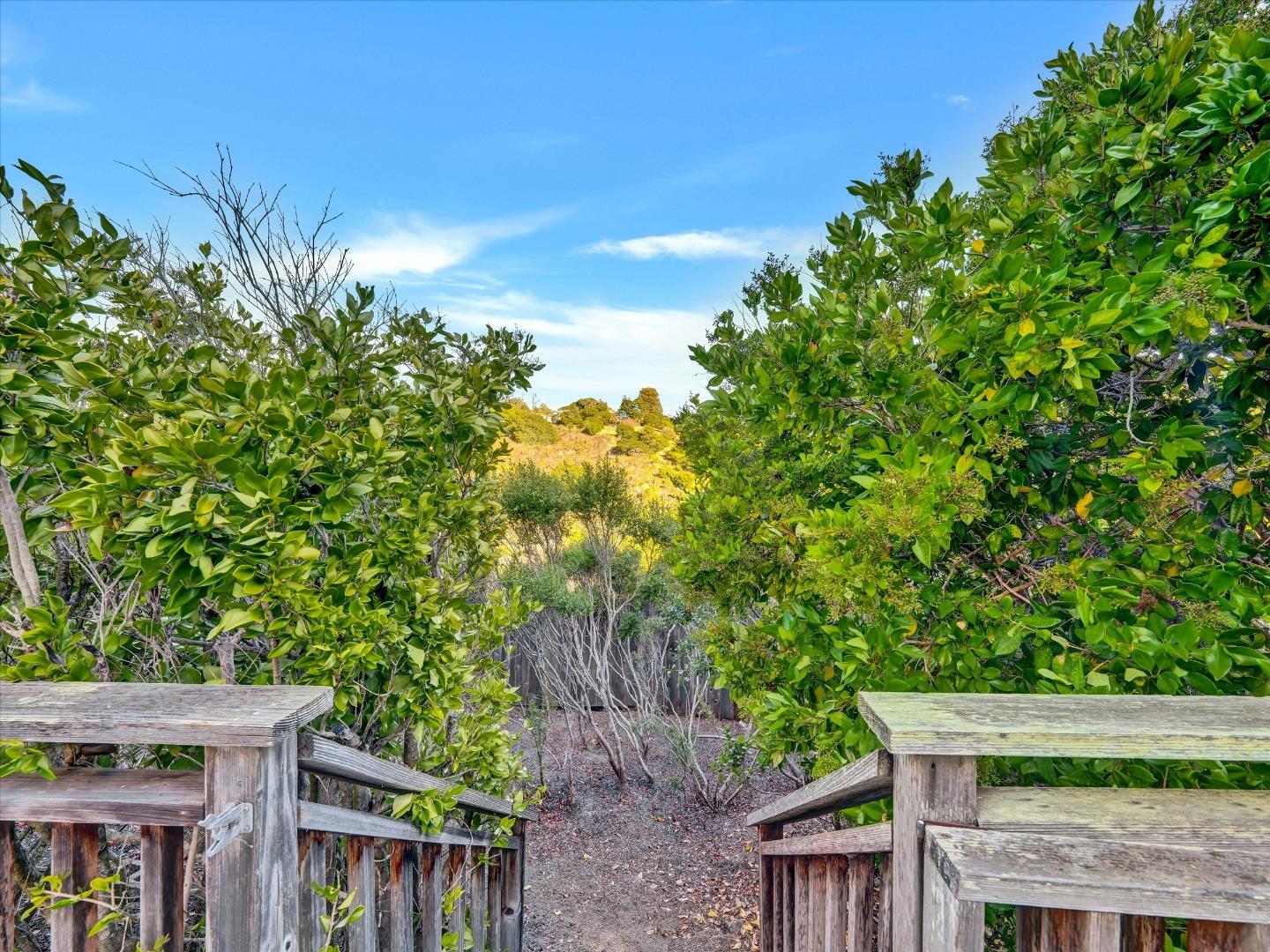 Detail Gallery Image 43 of 54 For 4114 Marsten Ave, Belmont,  CA 94002 - 3 Beds | 2/1 Baths