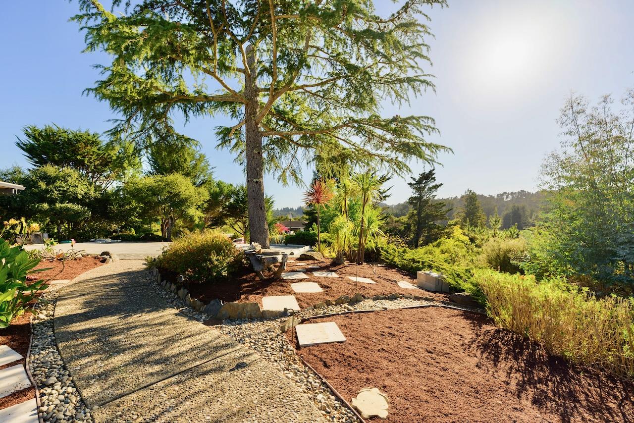 Detail Gallery Image 6 of 99 For 100 Pleasant Heights Dr, Aptos,  CA 95003 - 4 Beds | 4 Baths