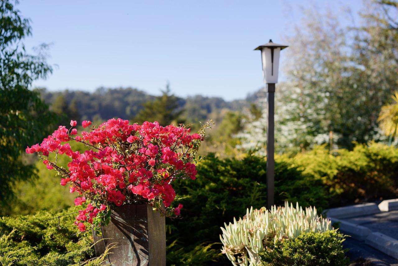 Detail Gallery Image 75 of 99 For 100 Pleasant Heights Dr, Aptos,  CA 95003 - 4 Beds | 4 Baths