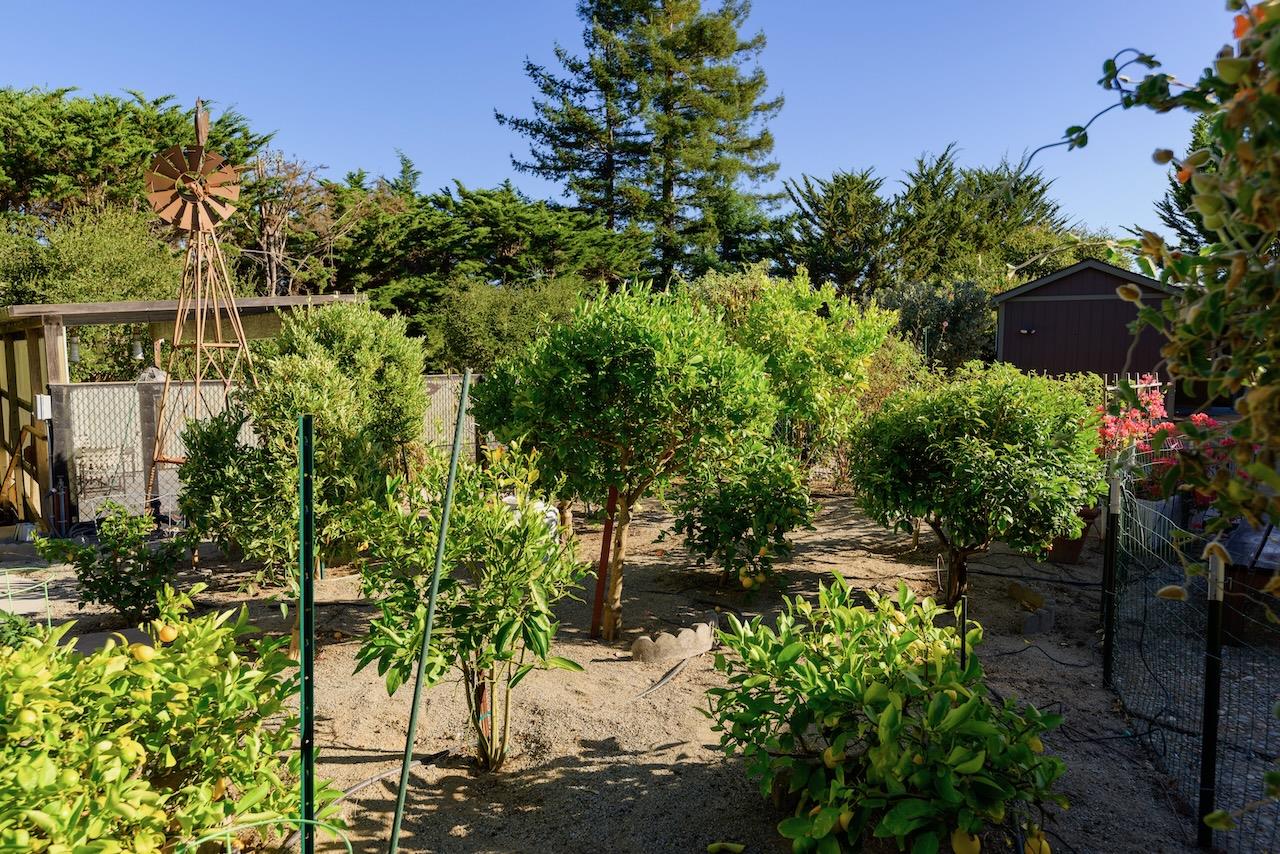 Detail Gallery Image 84 of 99 For 100 Pleasant Heights Dr, Aptos,  CA 95003 - 4 Beds | 4 Baths