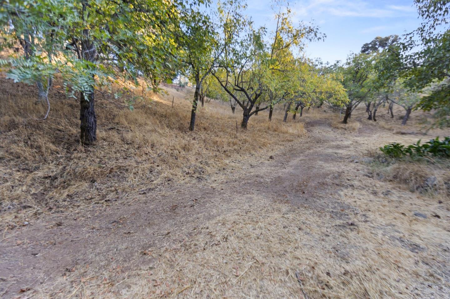 Detail Gallery Image 97 of 109 For 19251 Black Rd, Los Gatos,  CA 95033 - 5 Beds | 3/1 Baths