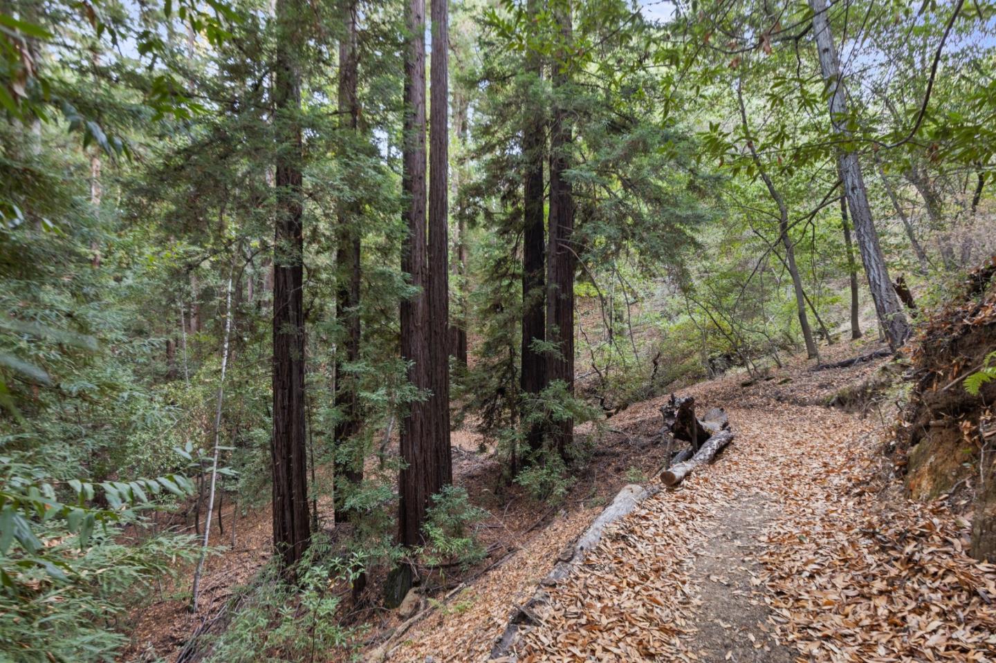 Detail Gallery Image 99 of 109 For 19251 Black Rd, Los Gatos,  CA 95033 - 5 Beds | 3/1 Baths