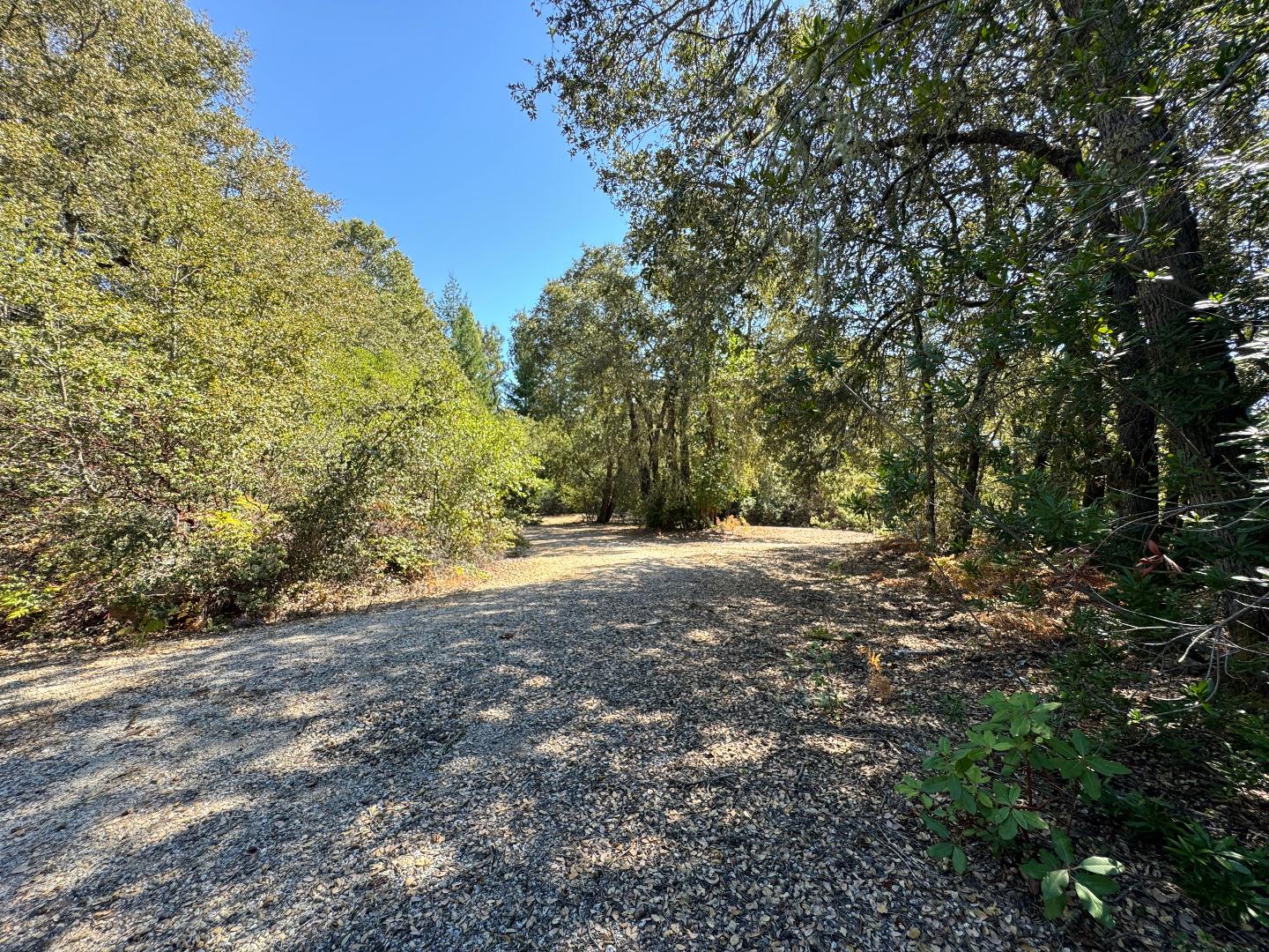 Detail Gallery Image 7 of 18 For 0 Alta Vista Rd, Santa Cruz,  CA 95060 - – Beds | – Baths