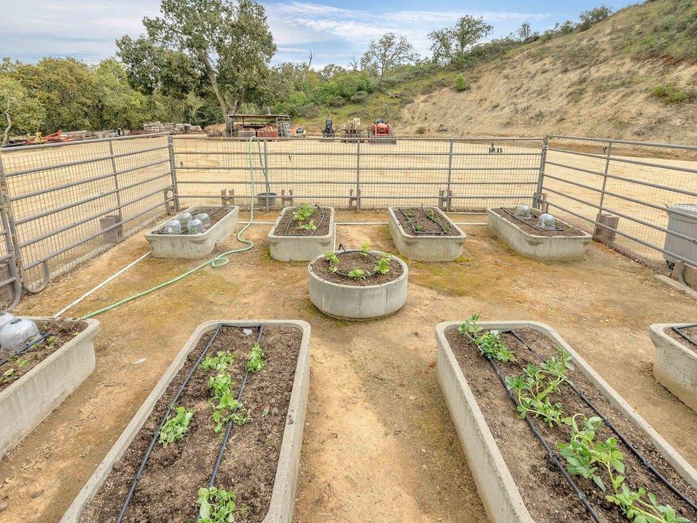 Detail Gallery Image 49 of 83 For 6800 San Juan Canyon Rd, San Juan Bautista,  CA 95045 - 3 Beds | 2 Baths