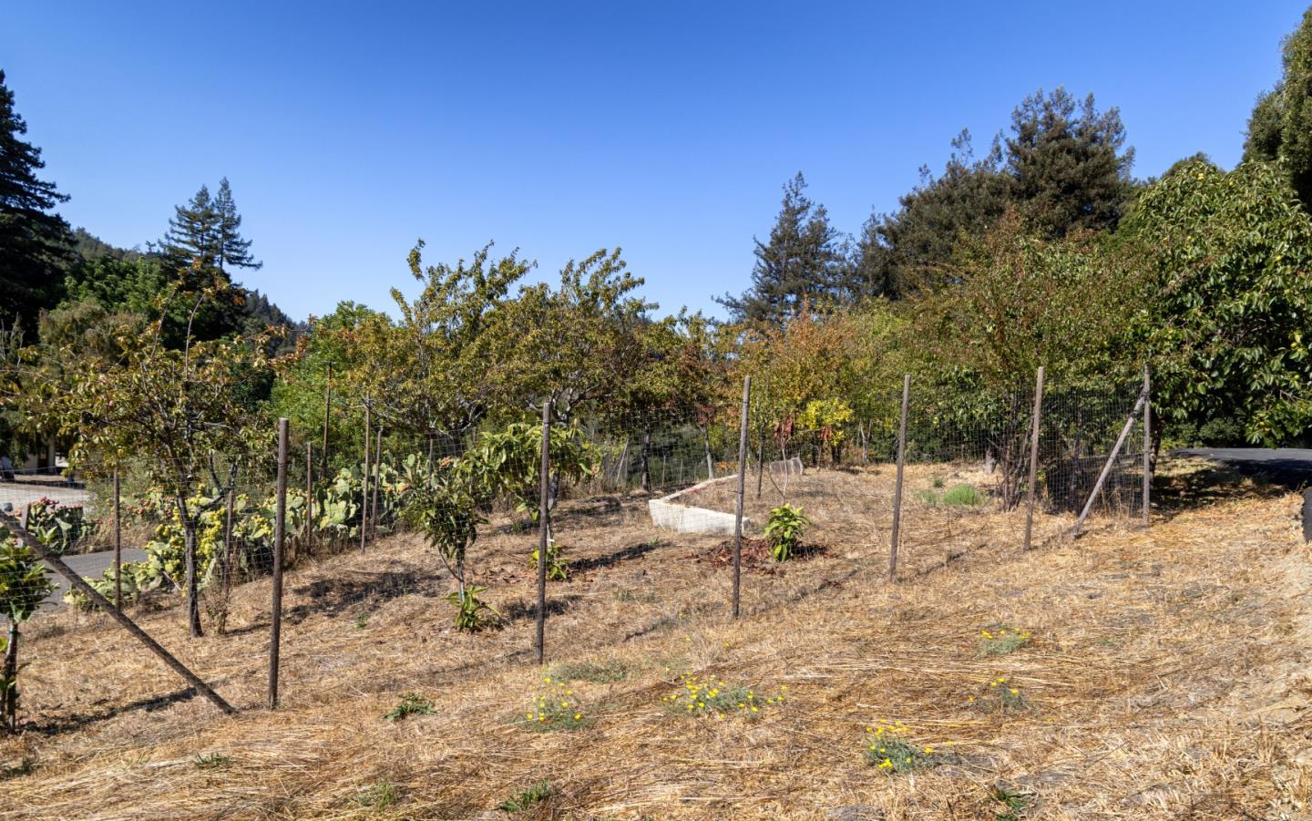 Detail Gallery Image 19 of 50 For 3375 Allred Ln, Soquel,  CA 95073 - 3 Beds | 3/2 Baths