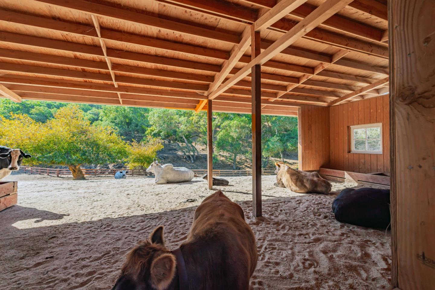 Detail Gallery Image 16 of 30 For 3970 Leavesley Rd, Gilroy,  CA 95020 - 4 Beds | 3/1 Baths