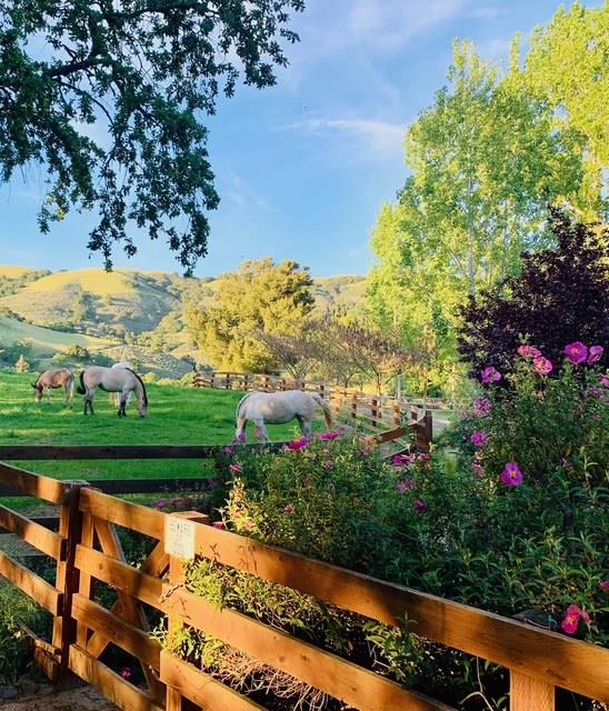 Detail Gallery Image 28 of 30 For 3970 Leavesley Rd, Gilroy,  CA 95020 - 4 Beds | 3/1 Baths