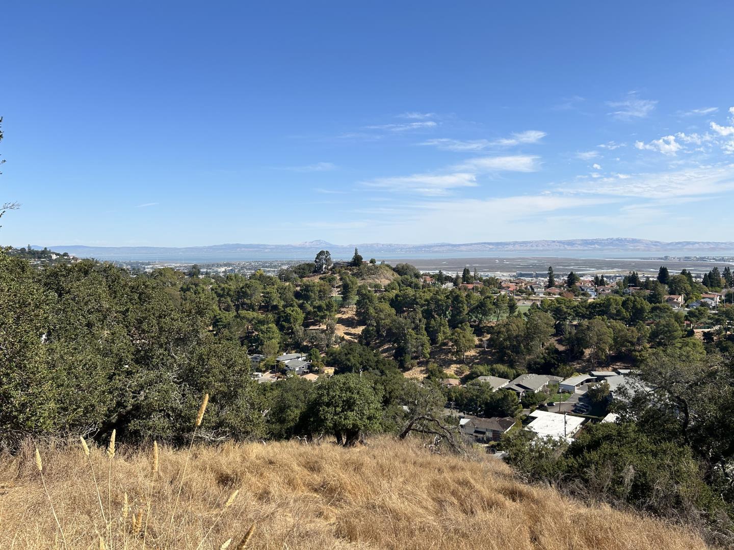 Detail Gallery Image 11 of 12 For 0-B Winding Way, San Carlos,  CA 94070 - – Beds | – Baths