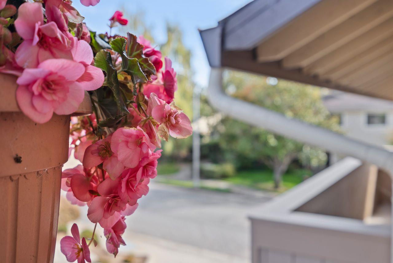 Detail Gallery Image 15 of 36 For 2903 Crocker Ct, Aptos,  CA 95003 - 2 Beds | 2 Baths