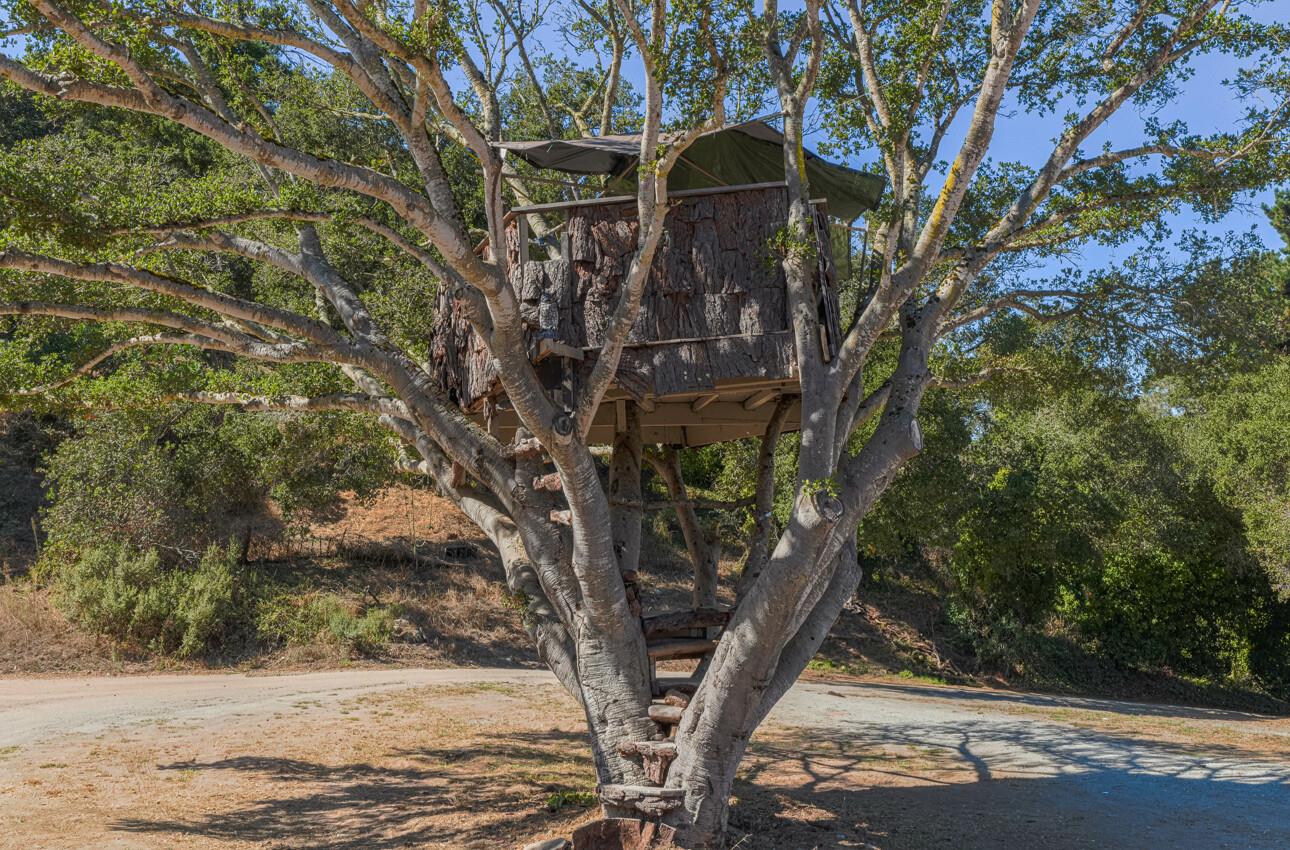 Detail Gallery Image 46 of 48 For 17994 Vierra Canyon Rd, Salinas,  CA 93907 - 3 Beds | 2/1 Baths