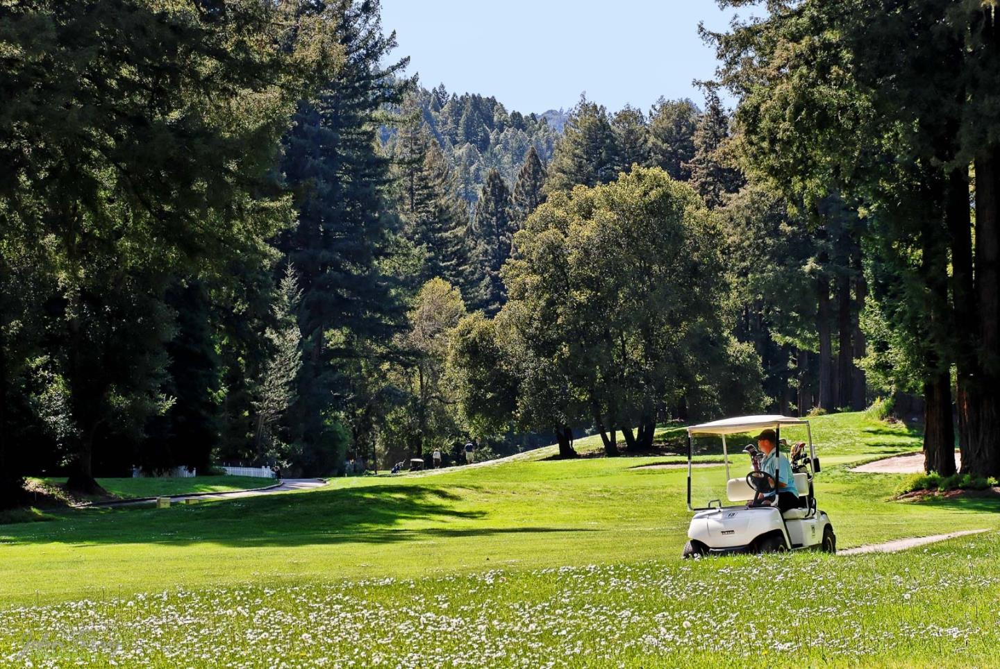 Detail Gallery Image 21 of 32 For 15315 Highway 9, Boulder Creek,  CA 95006 - 2 Beds | 2 Baths