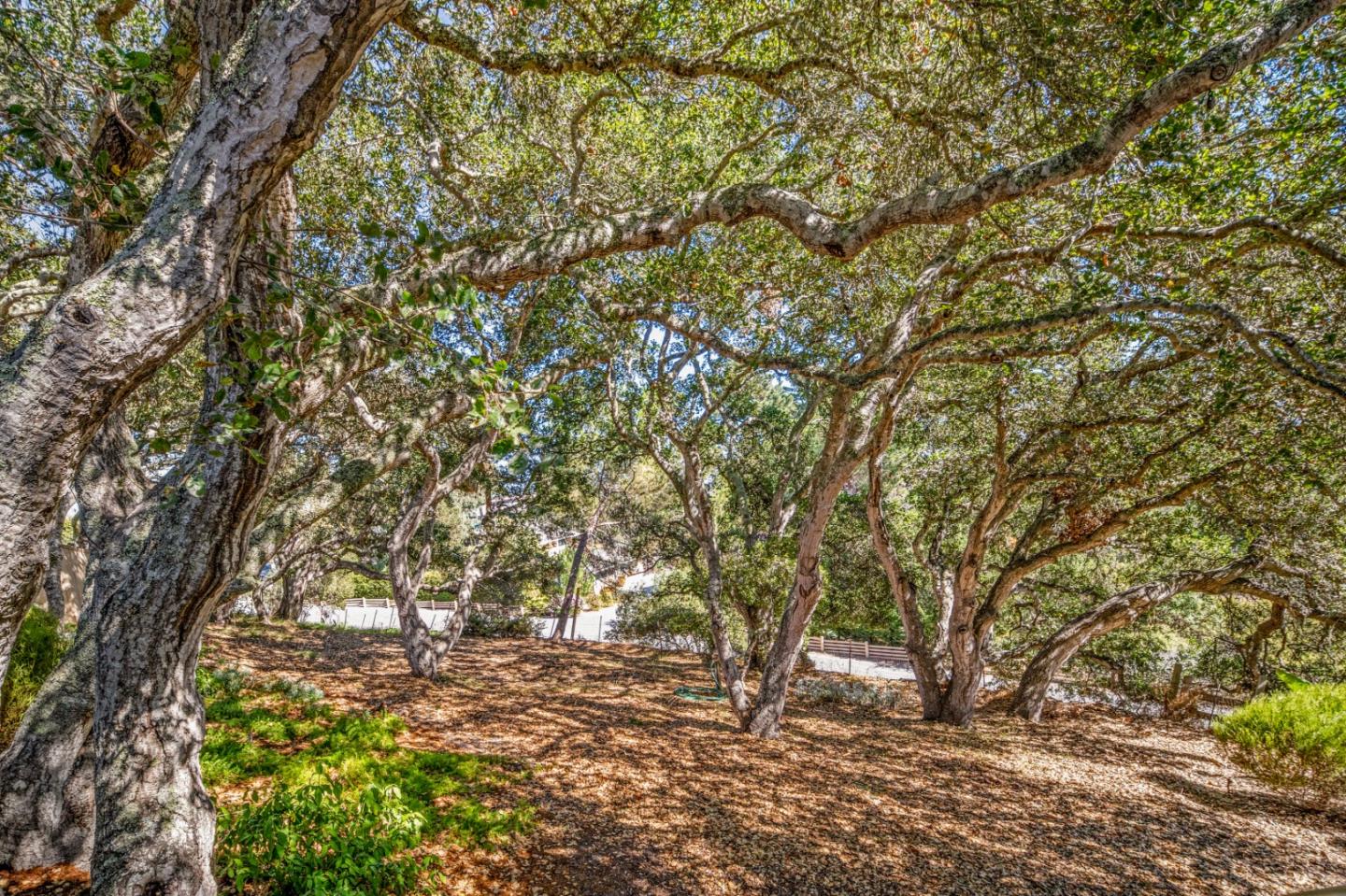 Detail Gallery Image 44 of 46 For 12500 Saddle Way, Carmel Valley,  CA 93924 - 2 Beds | 2/1 Baths