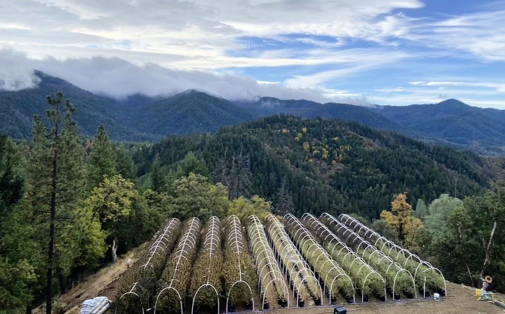 1900 Devils Gulch Road, Hayfork, California 96041, 2 Bedrooms Bedrooms, ,1 BathroomBathrooms,Residential,For Sale,1900 Devils Gulch Road,ML81983476