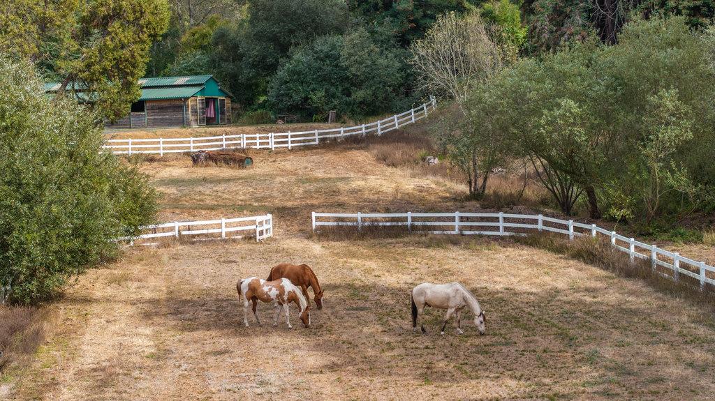 Detail Gallery Image 35 of 40 For 328 White Rd, Watsonville,  CA 95076 - 3 Beds | 2 Baths