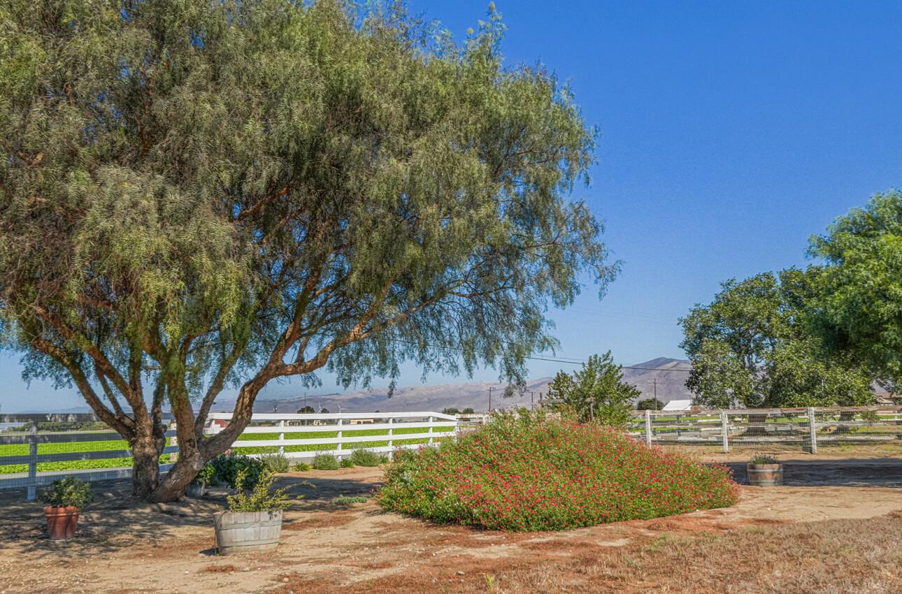 Detail Gallery Image 49 of 51 For 36121 Mile End Rd, Soledad,  CA 93960 - 2 Beds | 2 Baths