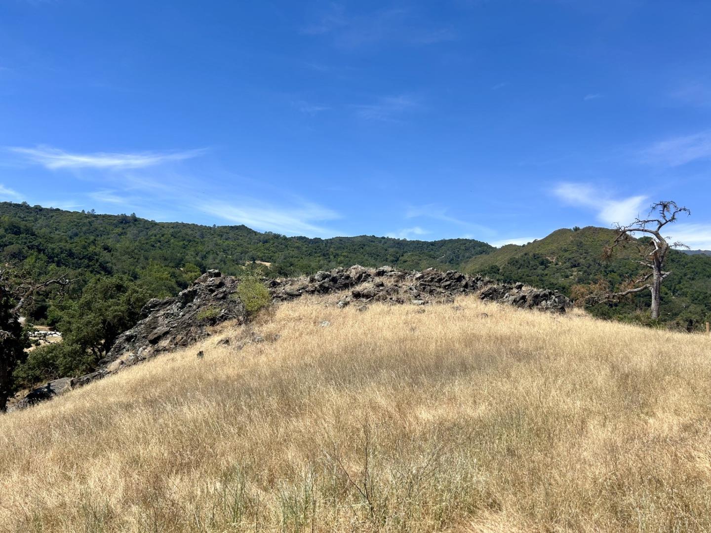 Detail Gallery Image 8 of 18 For 01 Little Uvas Rd, Morgan Hill,  CA 95037 - – Beds | – Baths