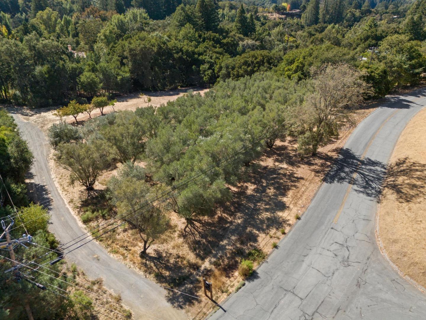 Detail Gallery Image 9 of 22 For 125 Mapache, Portola Valley,  CA 94028 - – Beds | – Baths