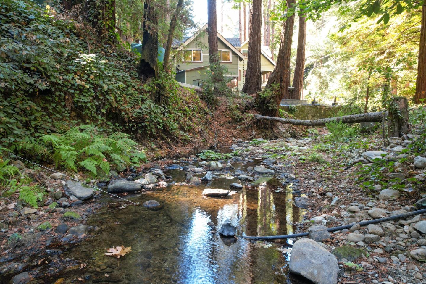 Detail Gallery Image 45 of 61 For 10380 Love Creek Rd, Ben Lomond,  CA 95005 - 4 Beds | 3/1 Baths