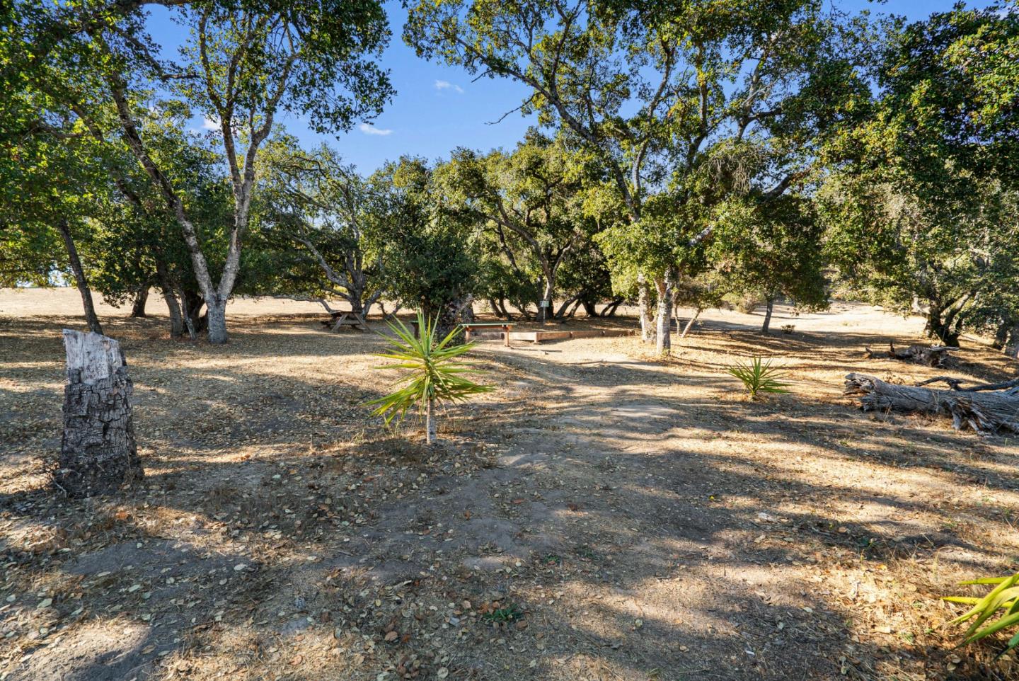 Detail Gallery Image 65 of 67 For 170 Isbel Dr, Santa Cruz,  CA 95060 - 3 Beds | 2/1 Baths