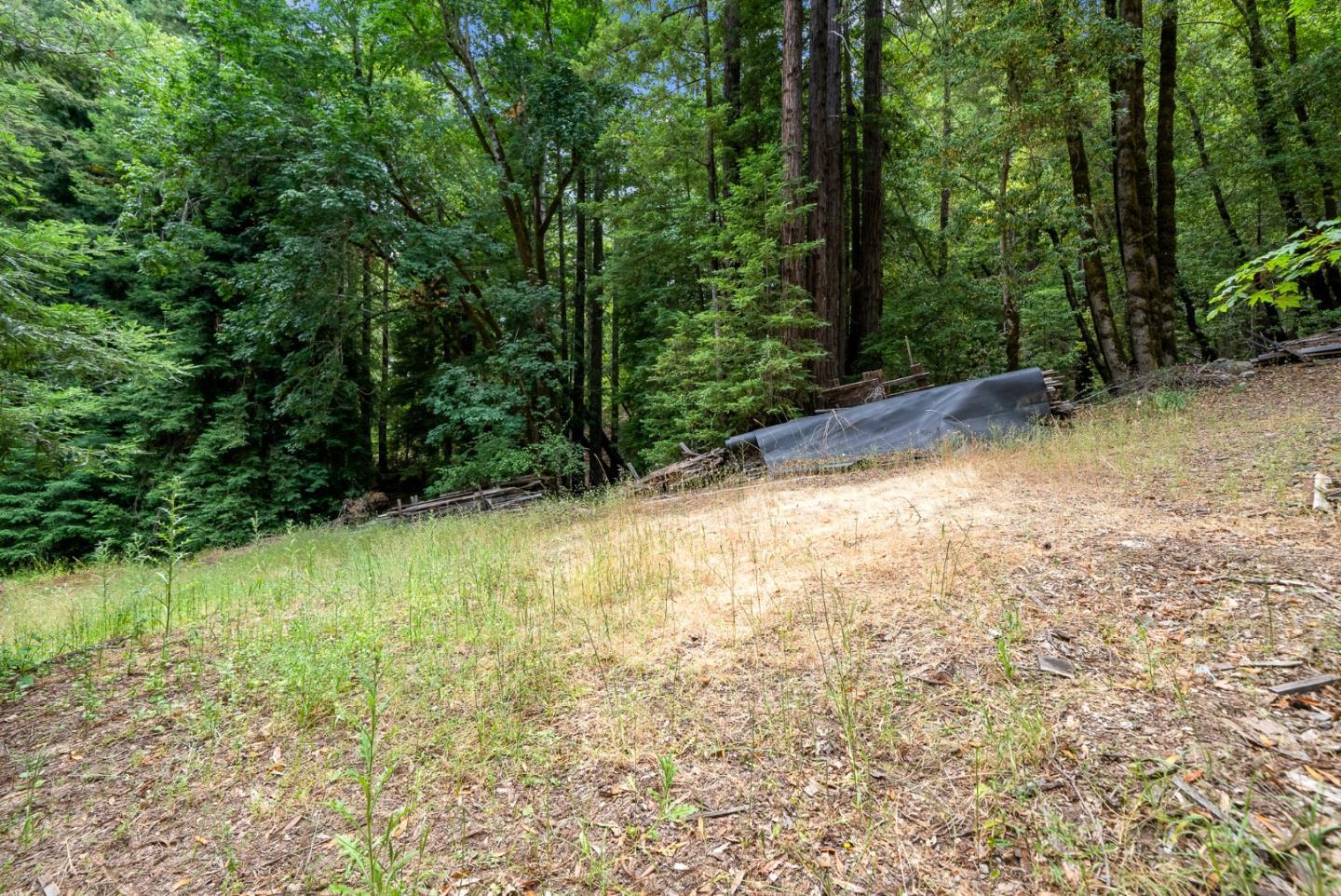 Detail Gallery Image 86 of 91 For 975 Logan Creek Rd, Boulder Creek,  CA 95006 - 4 Beds | 3 Baths