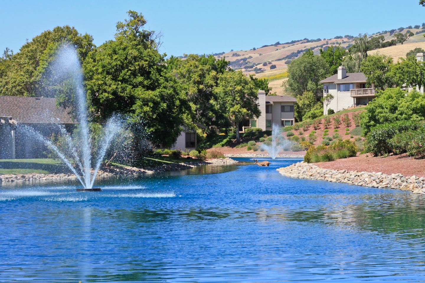 Detail Gallery Image 38 of 40 For 7539 Morevern Cir, San Jose,  CA 95135 - 2 Beds | 2/1 Baths