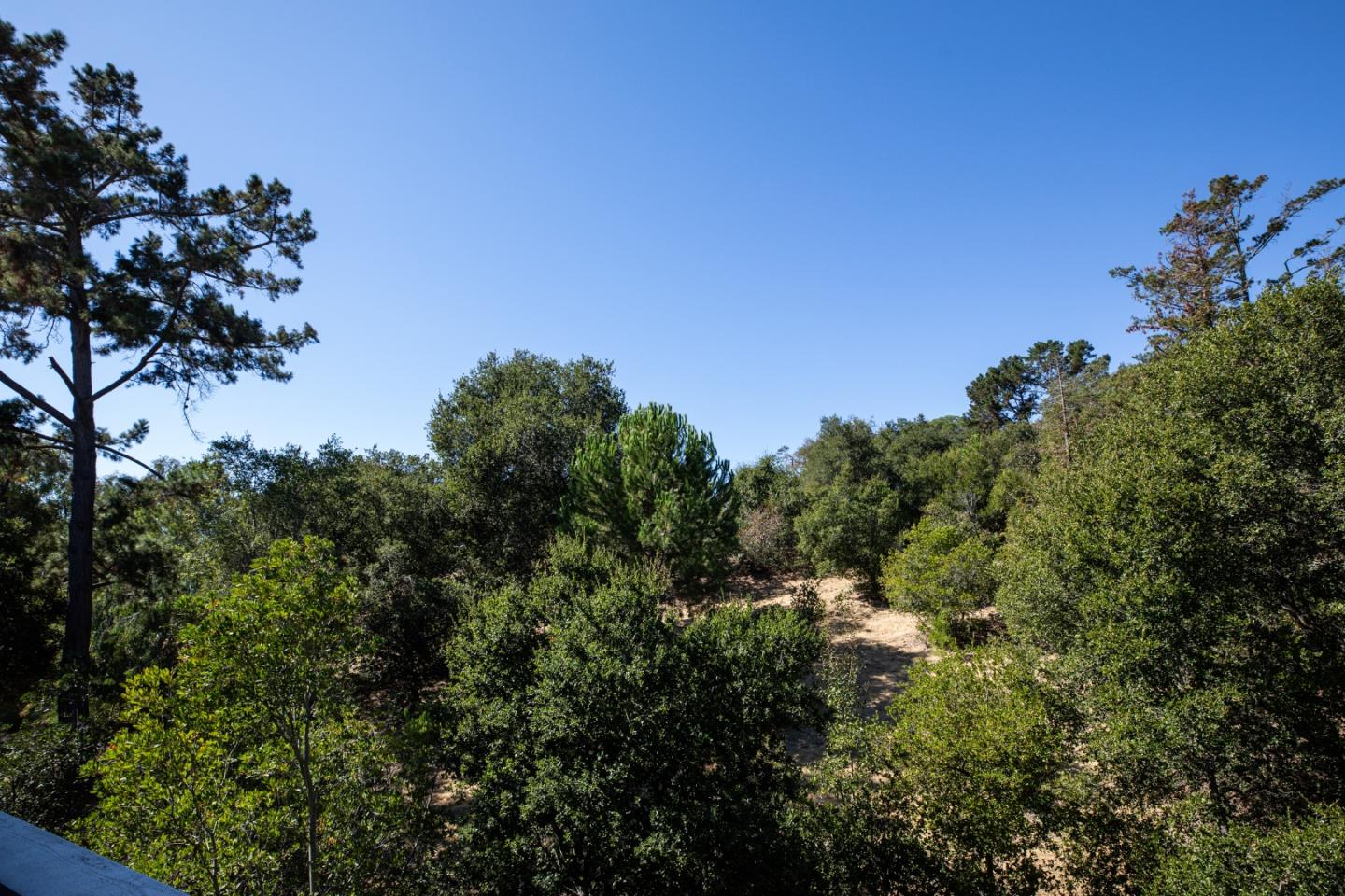 Detail Gallery Image 12 of 17 For 675 Sharon Park Dr #322,  Menlo Park,  CA 94025 - 1 Beds | 1 Baths