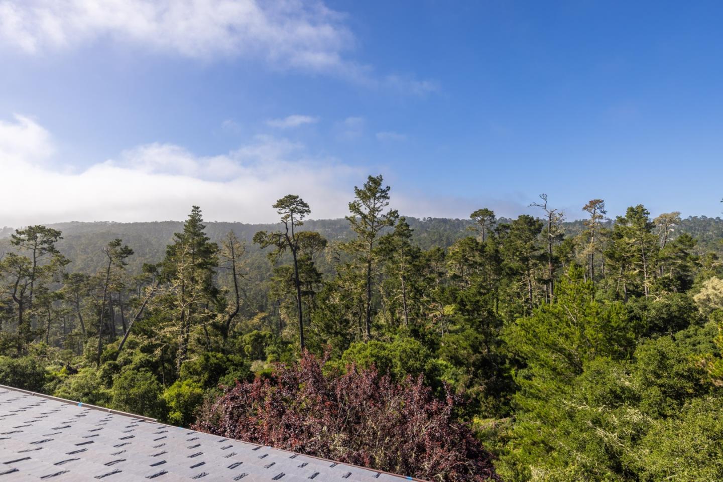 Detail Gallery Image 6 of 21 For 24308 San Juan Rd, Carmel,  CA 93923 - 4 Beds | 3/1 Baths