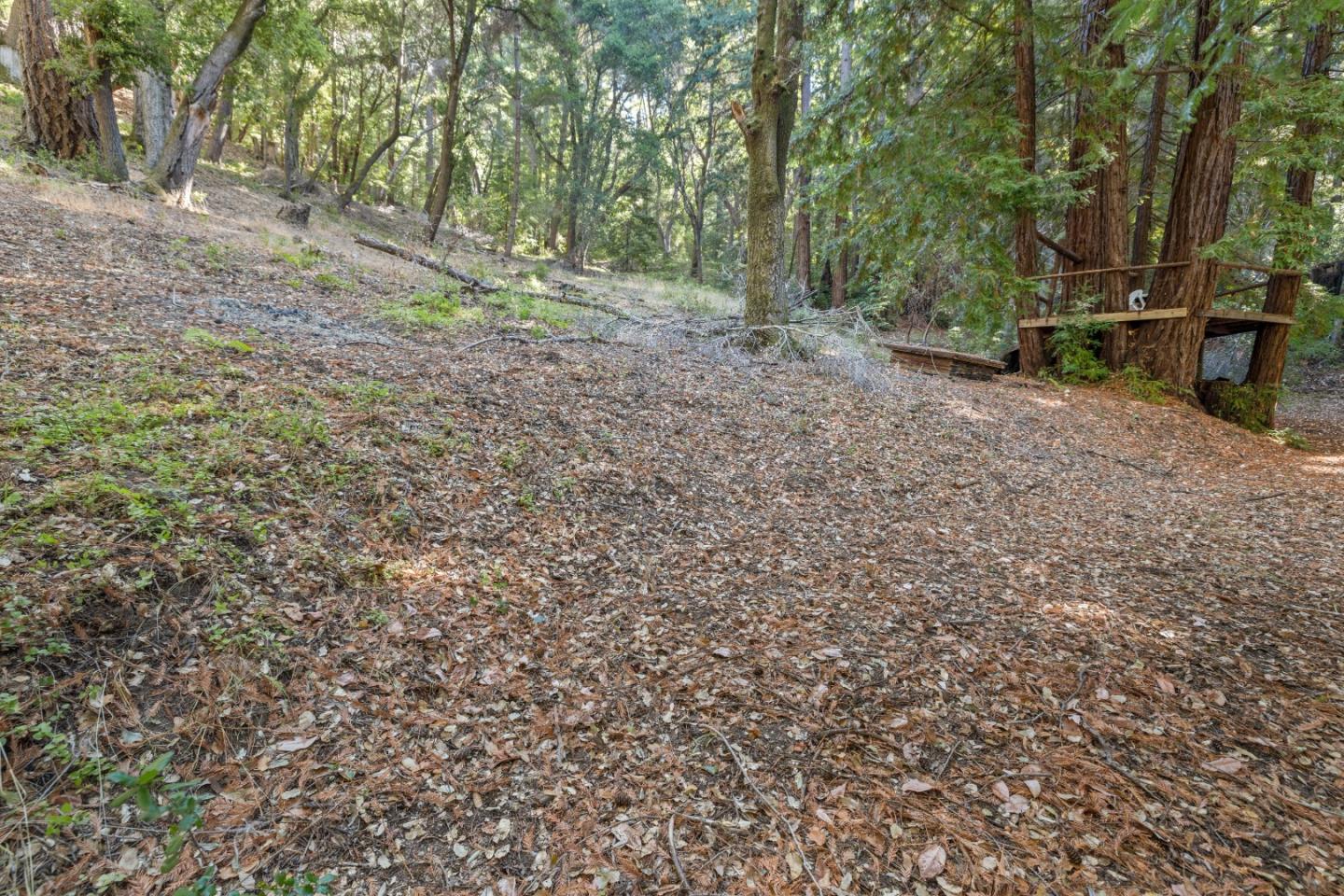 Detail Gallery Image 16 of 33 For 19900 Kings Creek Rd, Boulder Creek,  CA 95006 - – Beds | – Baths