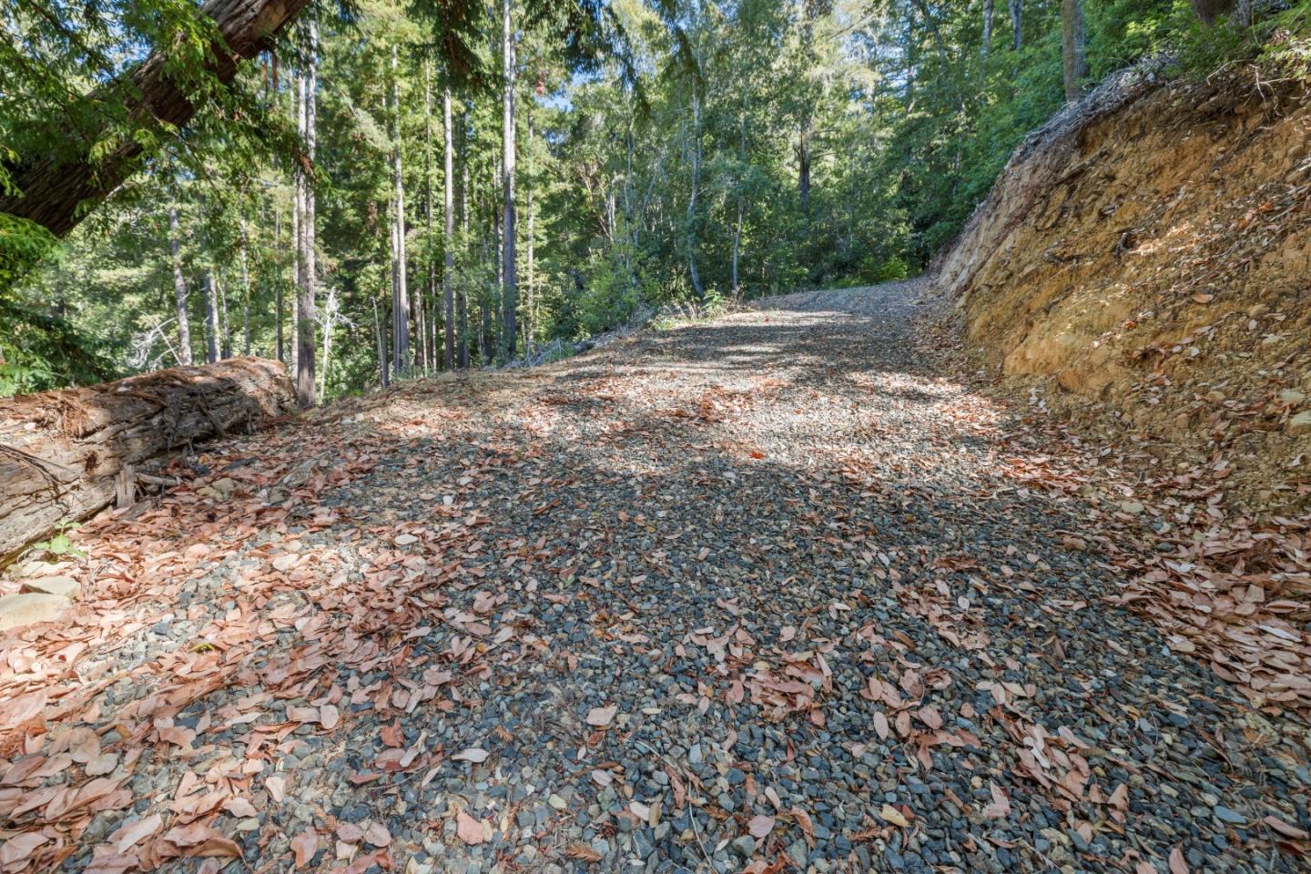 Detail Gallery Image 25 of 33 For 19900 Kings Creek Rd, Boulder Creek,  CA 95006 - – Beds | – Baths