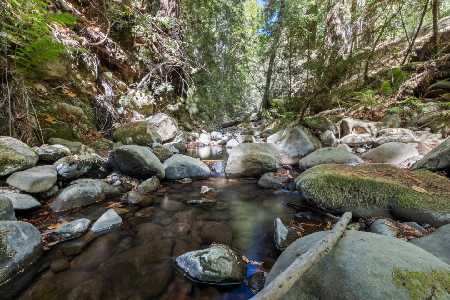 Detail Gallery Image 29 of 33 For 19900 Kings Creek Rd, Boulder Creek,  CA 95006 - – Beds | – Baths