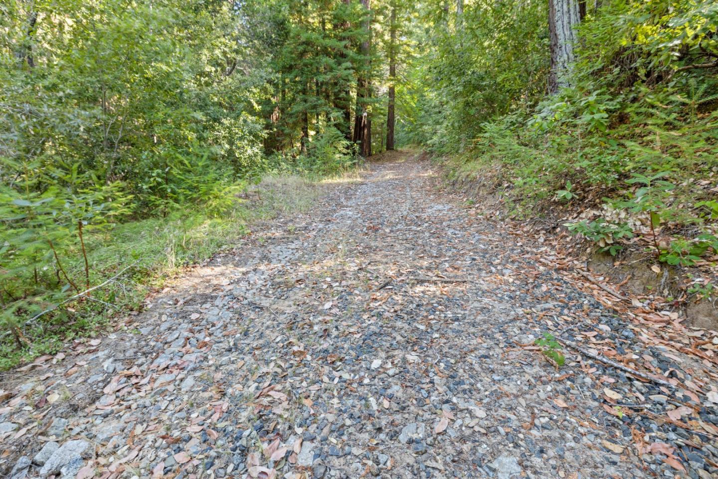Detail Gallery Image 3 of 33 For 19900 Kings Creek Rd, Boulder Creek,  CA 95006 - – Beds | – Baths