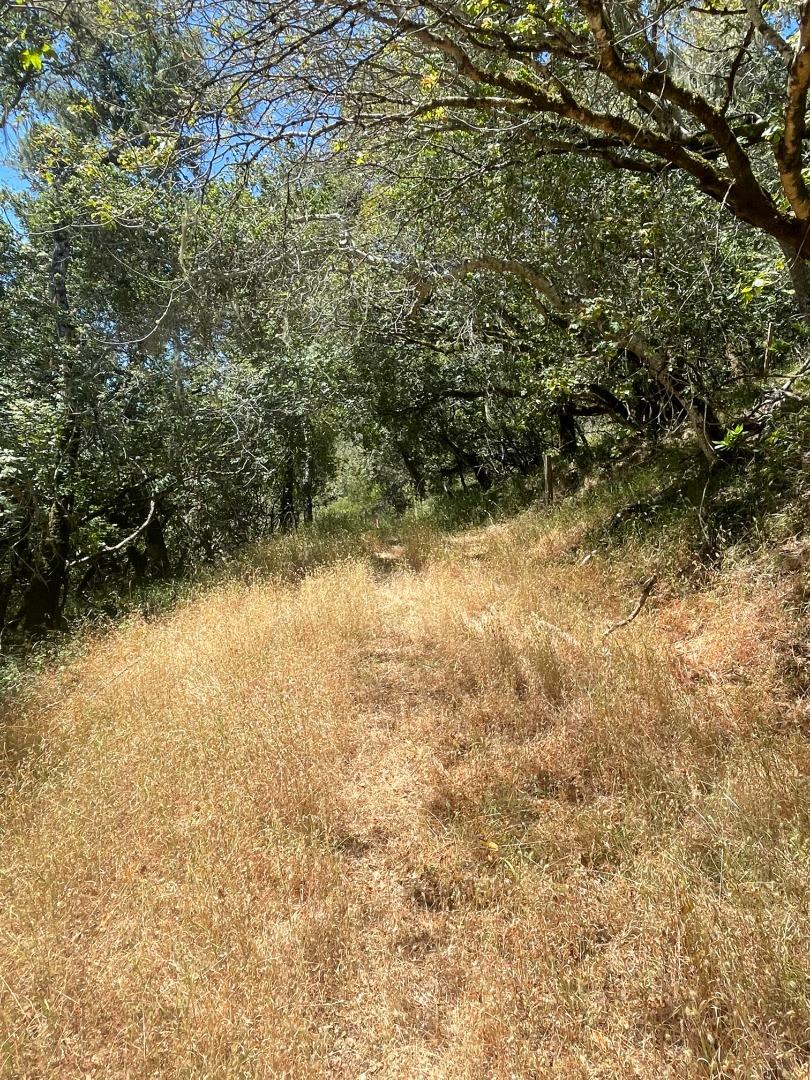 Detail Gallery Image 2 of 5 For 0 Crystal Springs Rd, Hillsborough,  CA 94010 - – Beds | – Baths