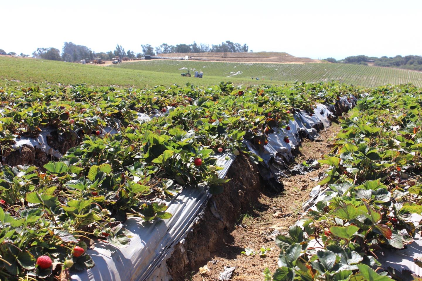 16475 Blackie Road, Salinas, California 93907, ,Commercial Land,For Sale,16475 Blackie Road,ML81984533