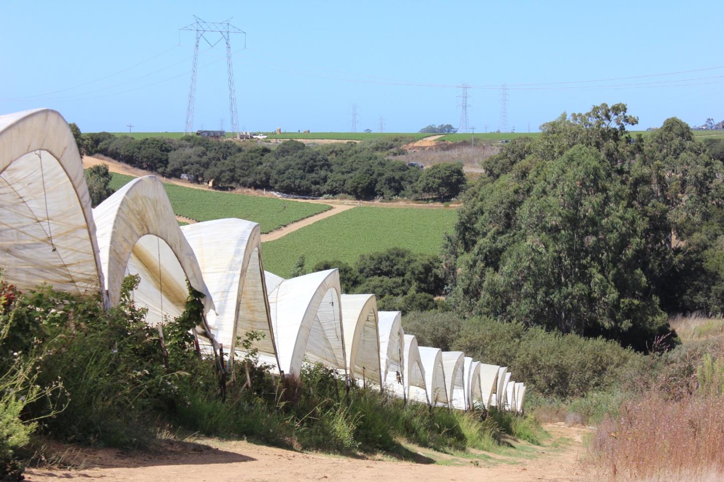 16475 Blackie Road, Salinas, California 93907, ,Commercial Land,For Sale,16475 Blackie Road,ML81984533
