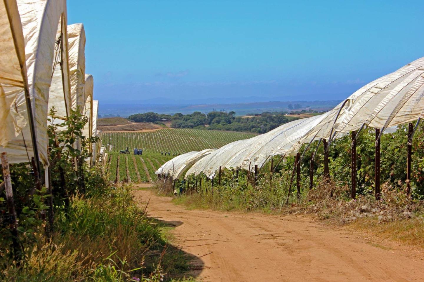 16475 Blackie Road, Salinas, California 93907, ,Commercial Land,For Sale,16475 Blackie Road,ML81984533