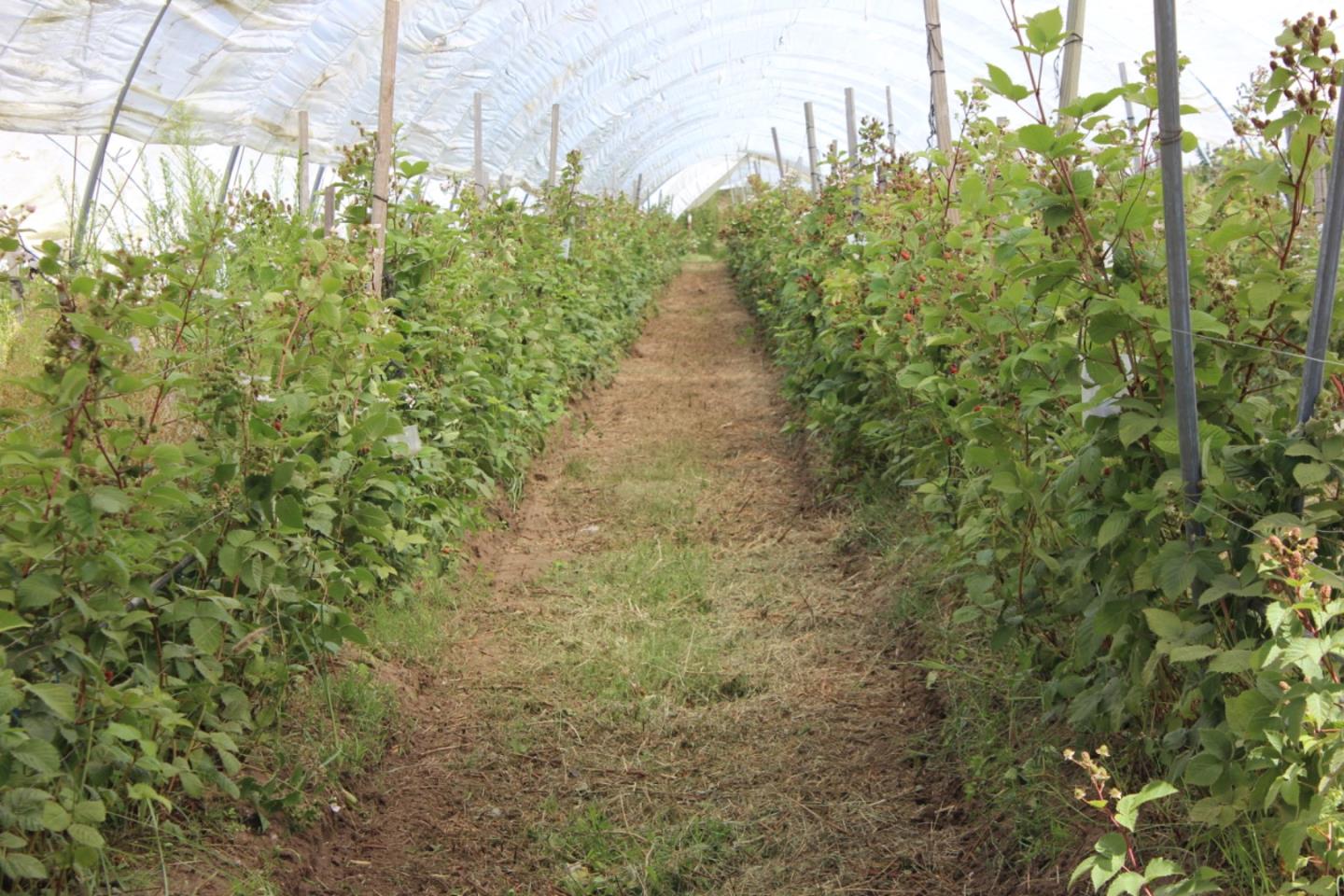 16475 Blackie Road, Salinas, CA, 93907