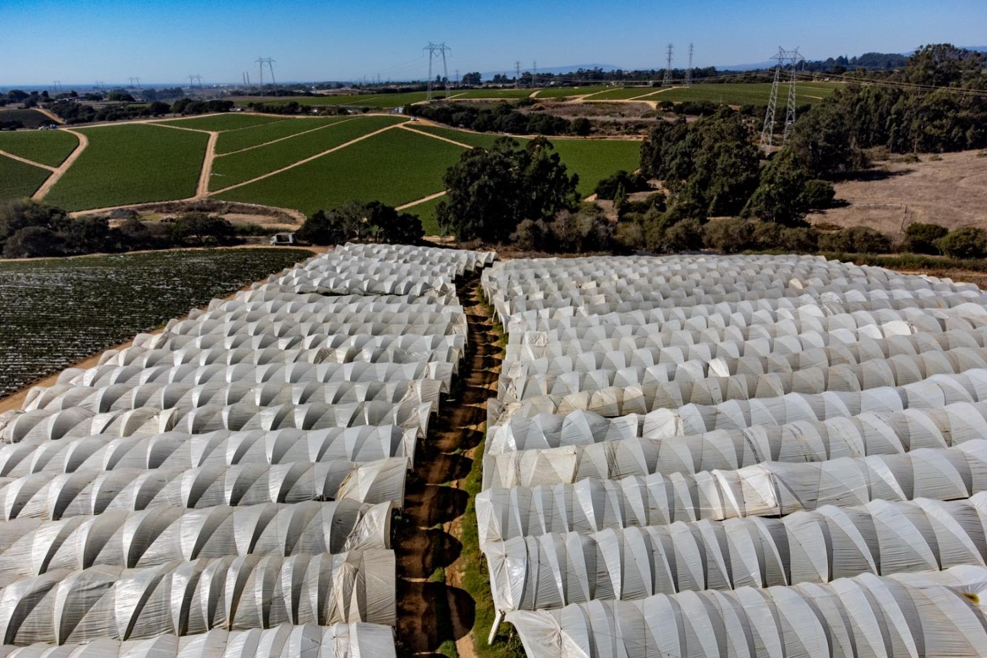 16475 Blackie Road, Salinas, CA, 93907