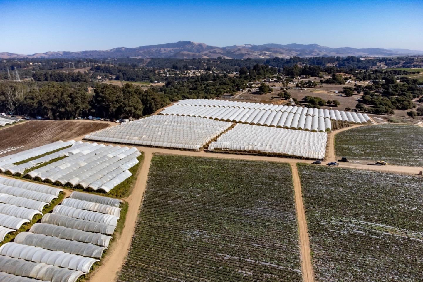 16475 Blackie Road, Salinas, California 93907, ,Commercial Land,For Sale,16475 Blackie Road,ML81984533
