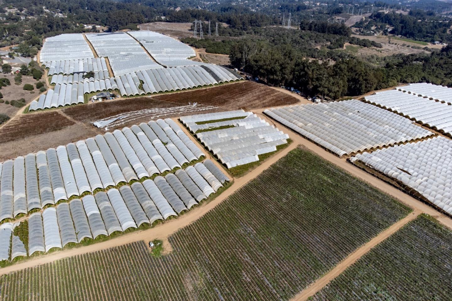 16475 Blackie Road, Salinas, California 93907, ,Commercial Land,For Sale,16475 Blackie Road,ML81984533