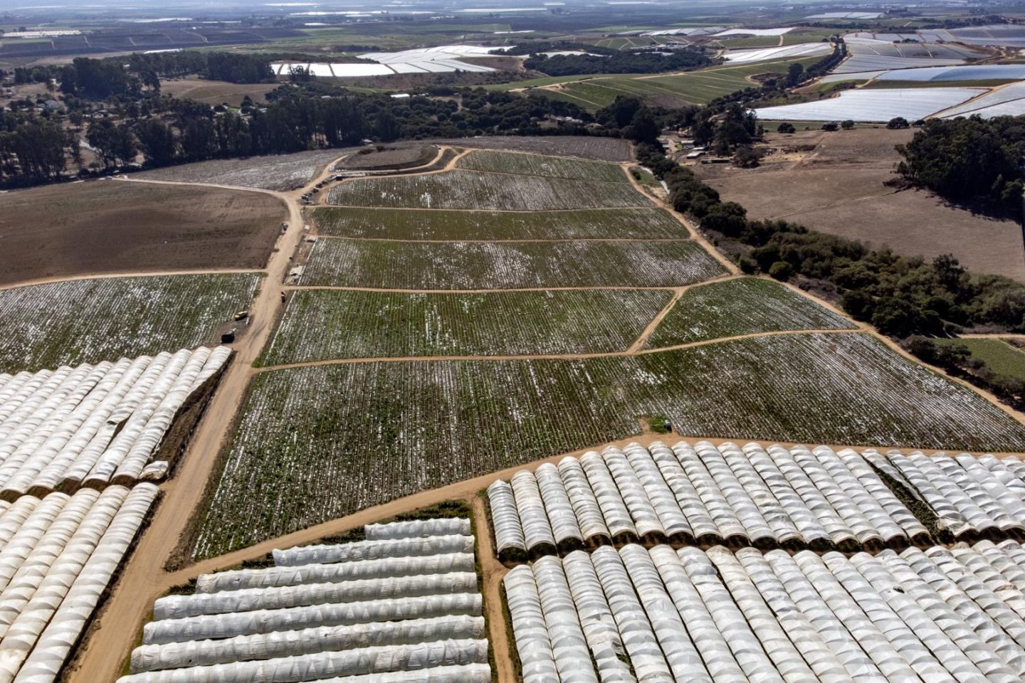 16475 Blackie Road, Salinas, CA, 93907