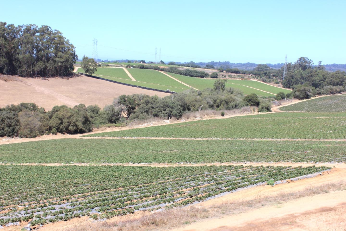 16475 Blackie Road, Salinas, CA, 93907